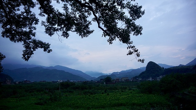 十日谈杨逸:我听见了夏天的寂静