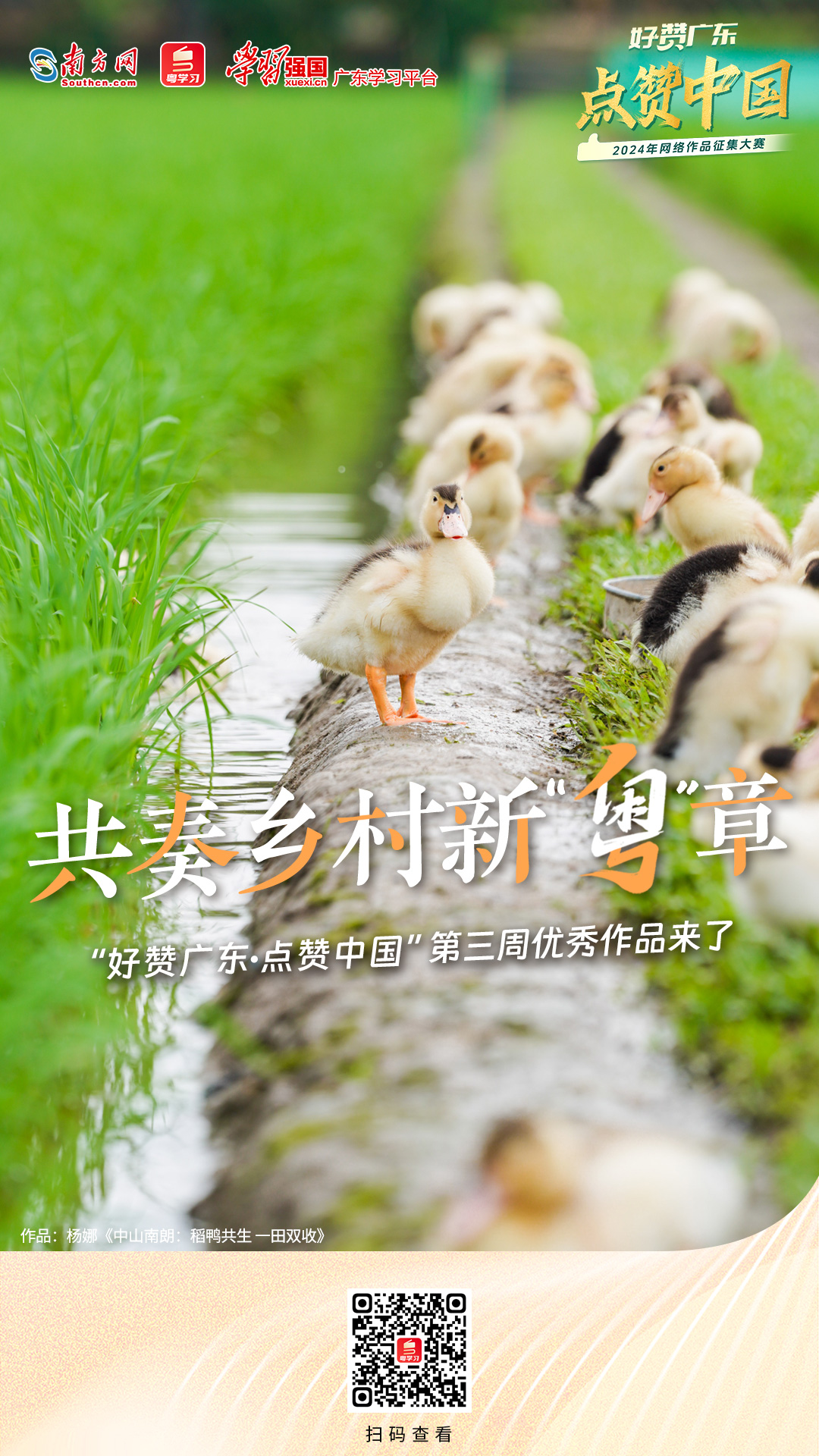 共奏乡村新“粤”章“好赞广东·点赞中国”第三周优秀作品来了!