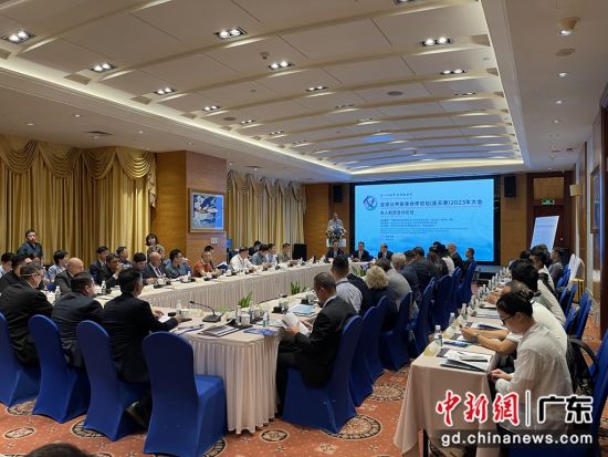 全球公共安全合作论坛连云港2023年大会无人机安全分论坛在深圳举行
